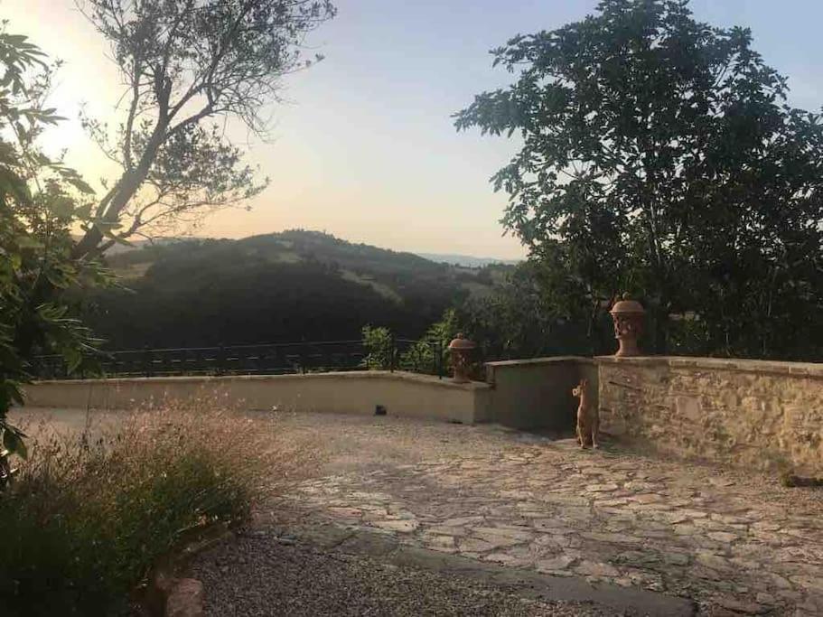 Il Borgo Di Olive Hotel Sismano Ngoại thất bức ảnh